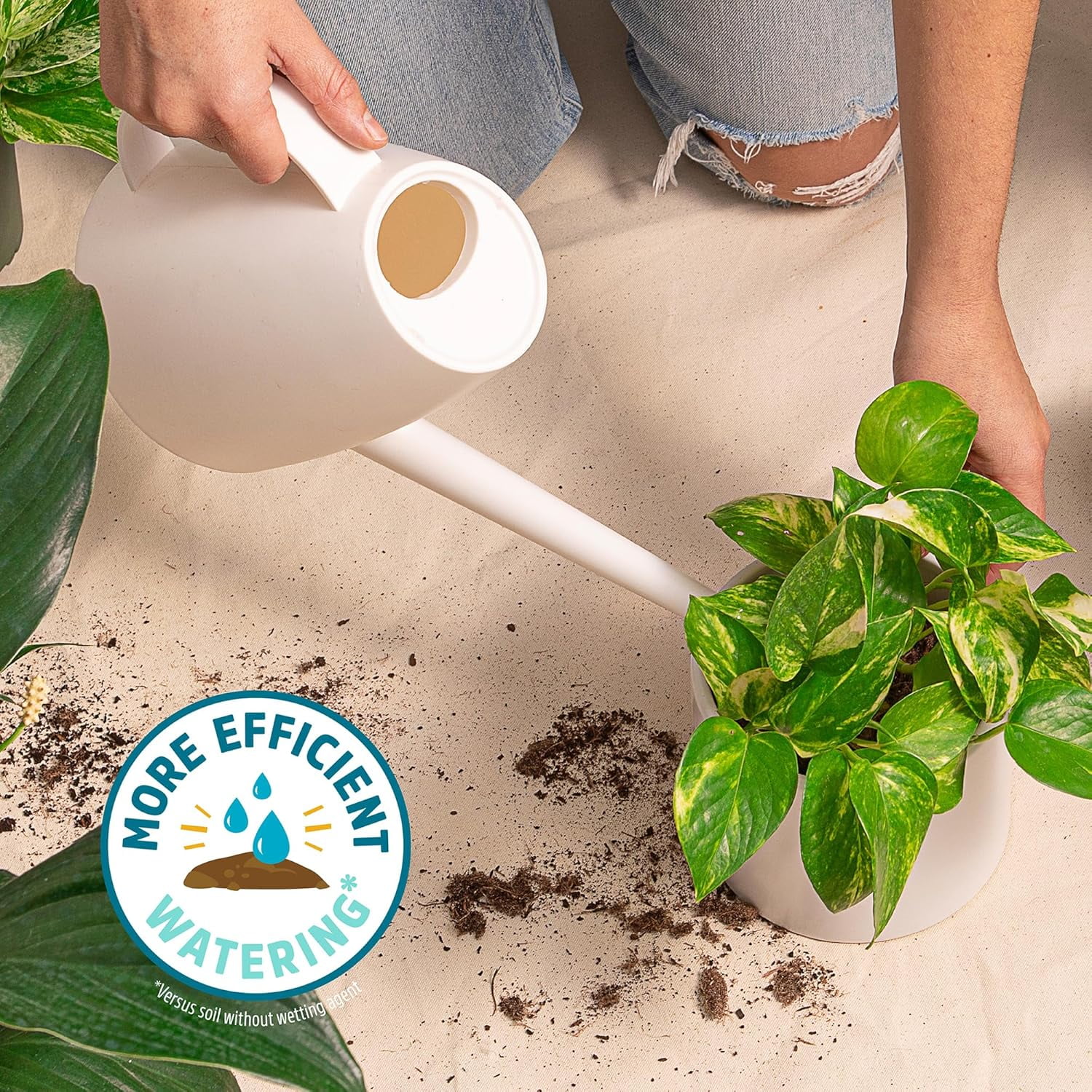 Organic Indoor Potting Mix (2 6qt bags)
