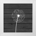 thumbnail image 1 of Robinson, Tamara 12x12 White Modern Wood Framed Museum Art Print Titled - Grey Dandelion I, 1 of 4