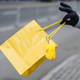 thumbnail image 4 of Greenadscape Colgante De Amarillo Para Llaves Y Aesthetic Y, 4 of 8