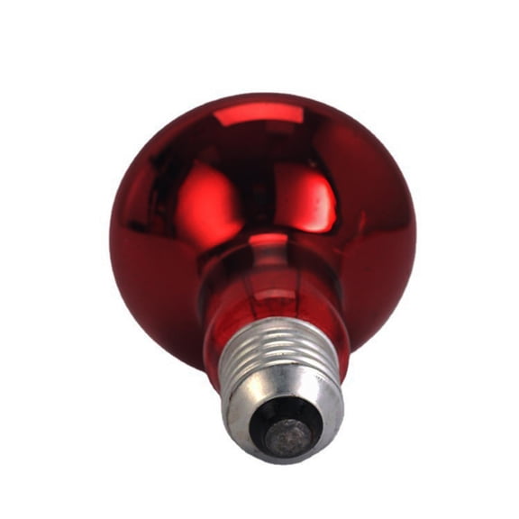 Lámpara de calefacción para reptiles de vidrio, fuente de calentador de 100W, dispositivo de iluminación Base E27, bombilla de luces de calor para Zulema Lámpara de calentamiento de reptiles