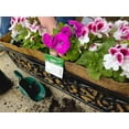thumbnail image 2 of F PreFormed Replacement Coco Liner with Soil Moist for Window Basket, 2 of 5