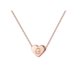 thumbnail image 1 of 26 Initial Heart Shape Alphabet Collar para Mujeres Collares de Acero Inoxidable para Mujeres A Z 26 Alphabet Initial Collares de Oro Rosa para Mujeres Niñas, 1 of 5