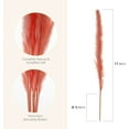 thumbnail image 3 of Viworld 30PCS Dried Pampas Grass Plumes 17 Inch Tall Natural Dried Plants Artificial Faux Reed Flower Stems Bunch for Wedding Home Vase Decor, Pink, 3 of 6