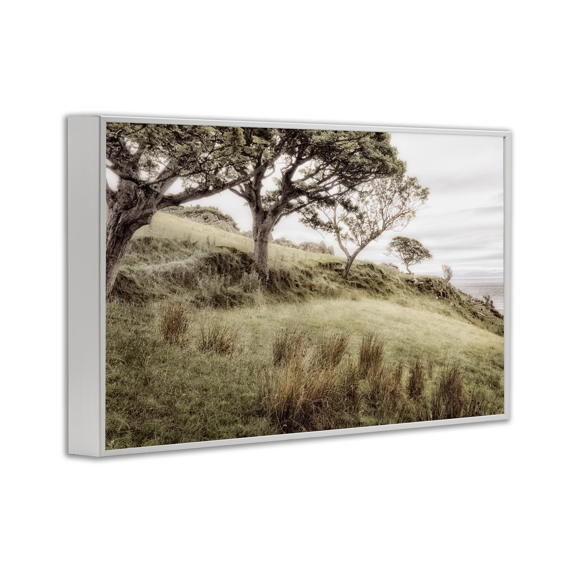 Stupell Industries Irish Hillside Landscape White Framed Giclee Art, design by Andy Amos