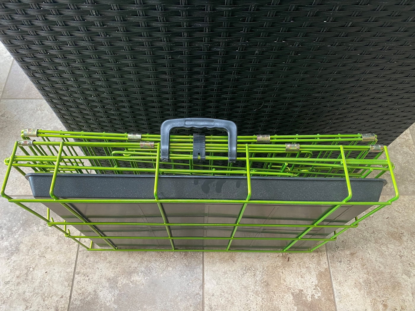 Pet Expressions 36 Inch Green Colored Metal Wire Dog Crate - Available in Various Sizes and Colors