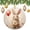 pattern-1672, variant on Christmas Ornaments Love Floral Funny Christmas Ornaments Blue Orange Flower Ornament Christmas Holiday Decorations