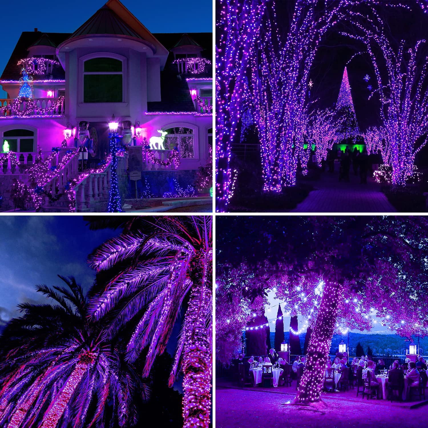 2Pack Solar String Lights 50 LED 32ft 8 Modes Outdoor Lighting Waterproof Christmas Fairy Lights for Xmas Tree Garden Homes Ambiance Wedding Lawn Party Decor, Purple