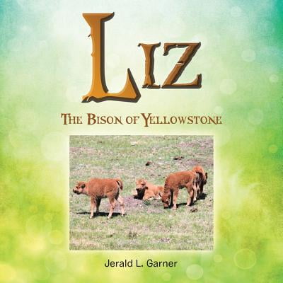 Liz : The Bison of Yellowstone
