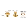 thumbnail image 2 of Kit de 200 Ojales de Metal 3mm 0.12 Ojal Herramienta para Zapatos Ropa Cinturón Bolsa Bricolaje Proyecto Dorado Tono Unique Bargains, 2 of 7