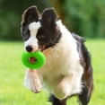 thumbnail image 3 of Durable Squeaky Spiky Ring Chew Toy Interactive Training Teething For Puppies And Adult Dogs Indoor Outdoor Activity, 3 of 4