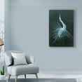 thumbnail image 3 of Trademark Fine Art 'Displaying Egret' Canvas Art by Michael Jackson, 3 of 3
