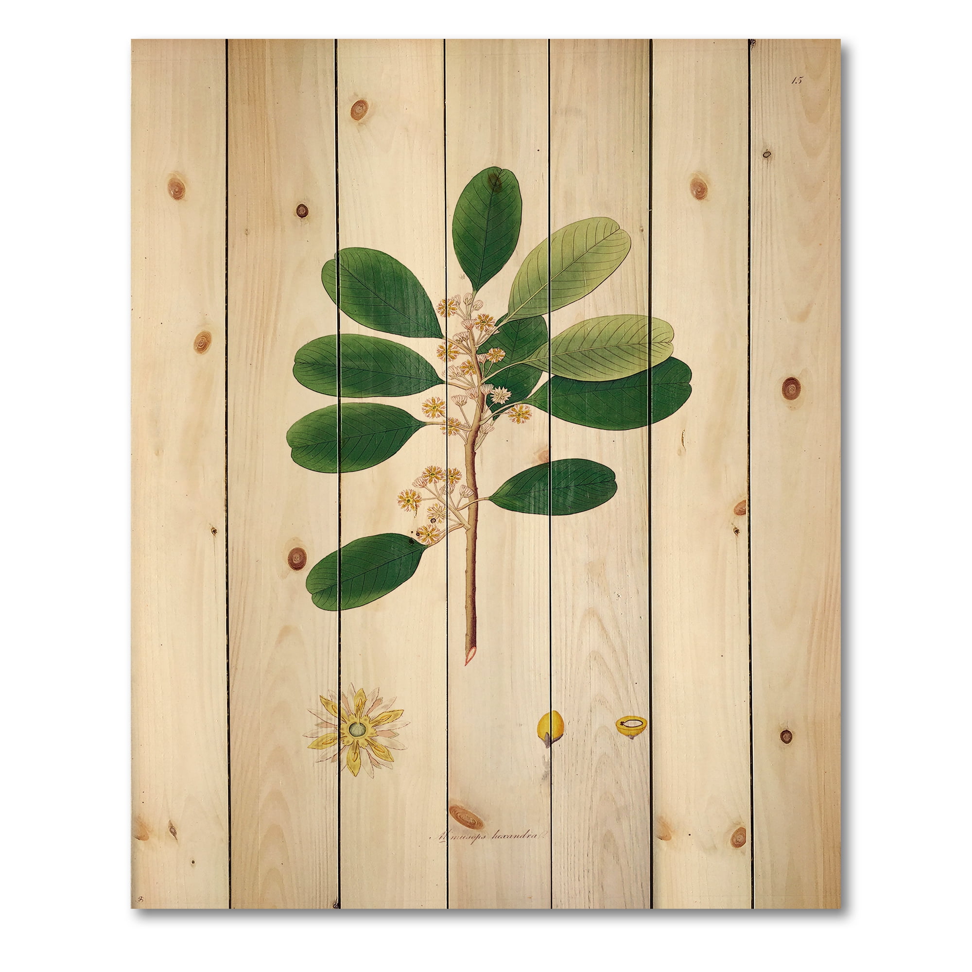 Designart 'Ancient London Plants IX' Farmhouse Print on Natural Pine Wood