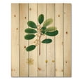 thumbnail image 3 of Designart 'Ancient London Plants IX' Farmhouse Print on Natural Pine Wood, 3 of 5