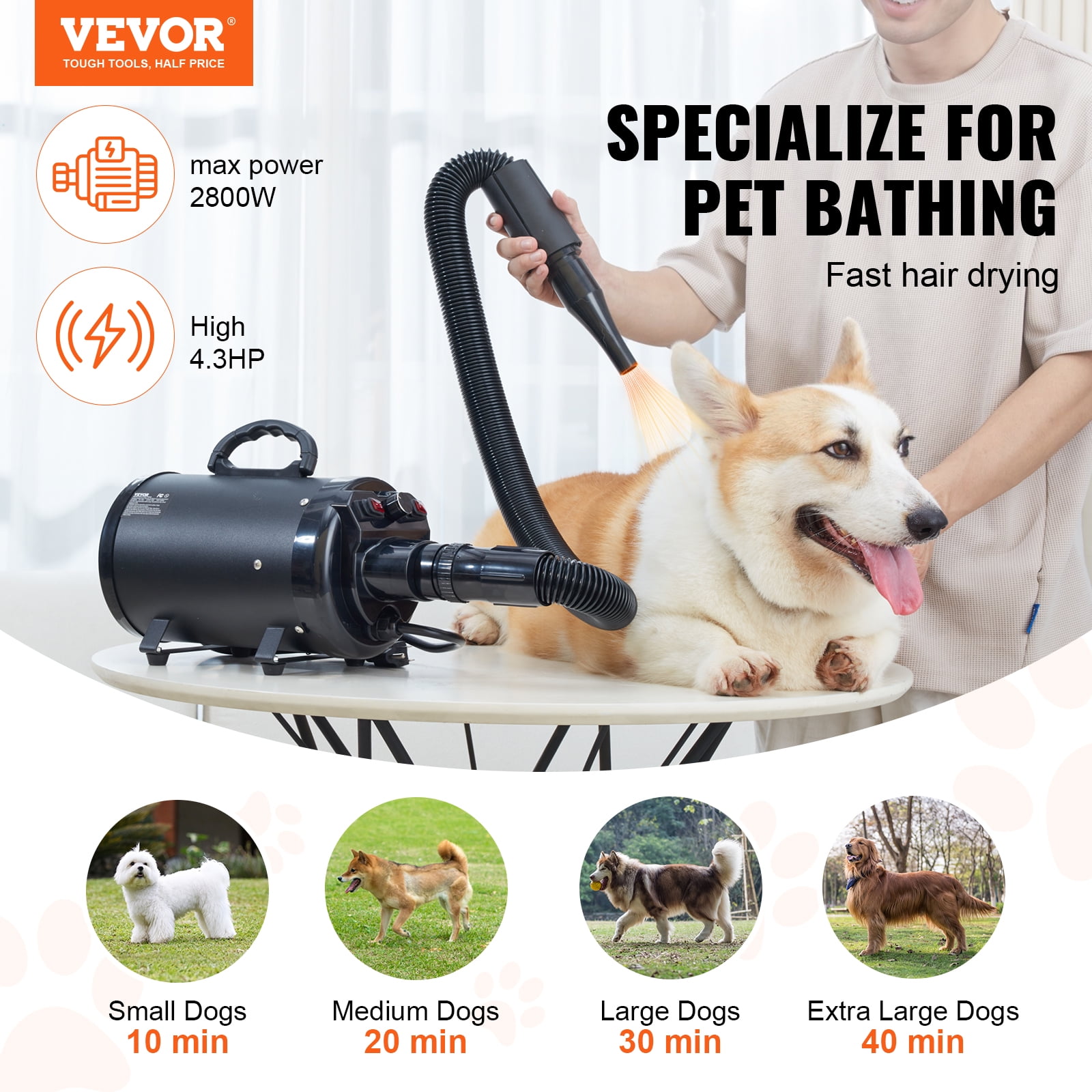KFFKFF Dog Dryer 2000W Pet Grooming Dryer Adjustable Speed with 4 Nozzles Black