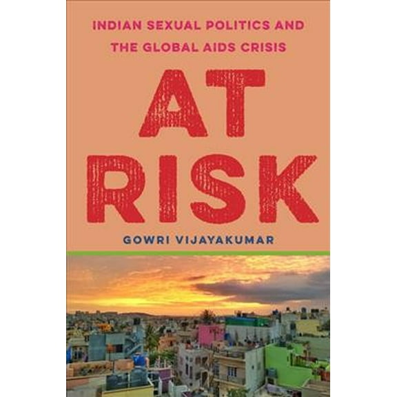 Globalization in Everyday Life: At Risk: Indian Sexual Politics and the Global AIDS Crisis (Paperback)