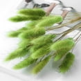 thumbnail image 3 of Multi-Color Dried Bunny Tail Grass Bundle, Natural Dry Flower Stems, Boho Vase Filler for Living Room Table, Indoor Party Floral Arrangement and Farmhouse Home Desktop Decoration, 3 of 7