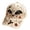 Beige, variant on Halloween Skull Flat Heat Transfer Printing Baseball Cap Black Purple Rose Pearl Embroidery Adjustable Goth Party Hat