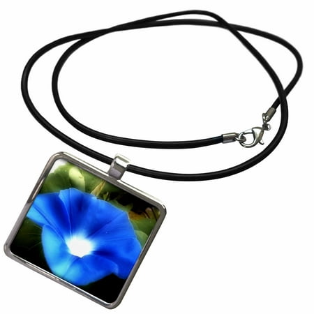 3dRose Light Within a Morning Glory is a beautiful blue morning glory flower - Necklace with Pendant