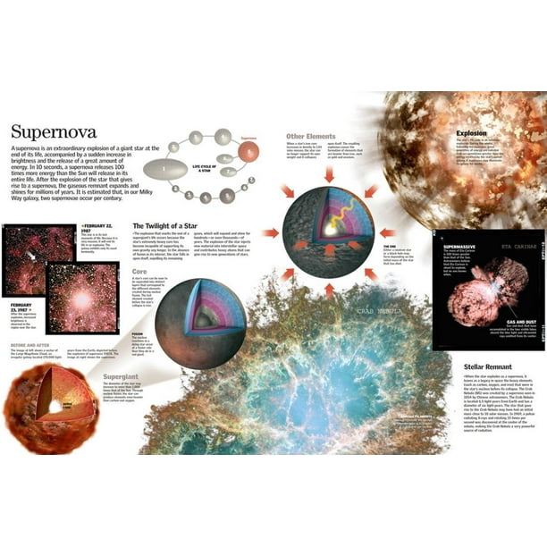 Infographic About A Supernova Formation Occurring At The End Of A Star Life Cycle Poster Wall Art Walmart Com Walmart Com