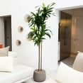 thumbnail image 4 of Nearly Natural 7ft. Artificial Dracaena Tree with Real Touch Leaves, 4 of 5