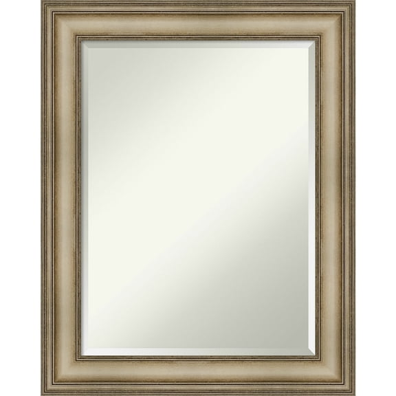 Mezzanine Antique Silver Narrow Beveled Wood Bathroom Wall Mirror