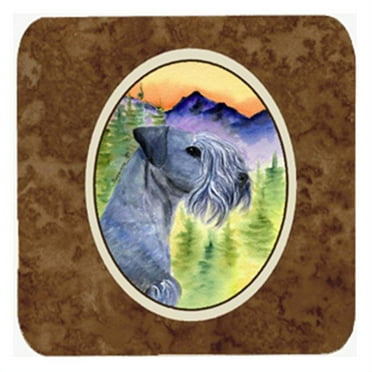 Carolines Treasures  Cesky Terrier Foam Coasters