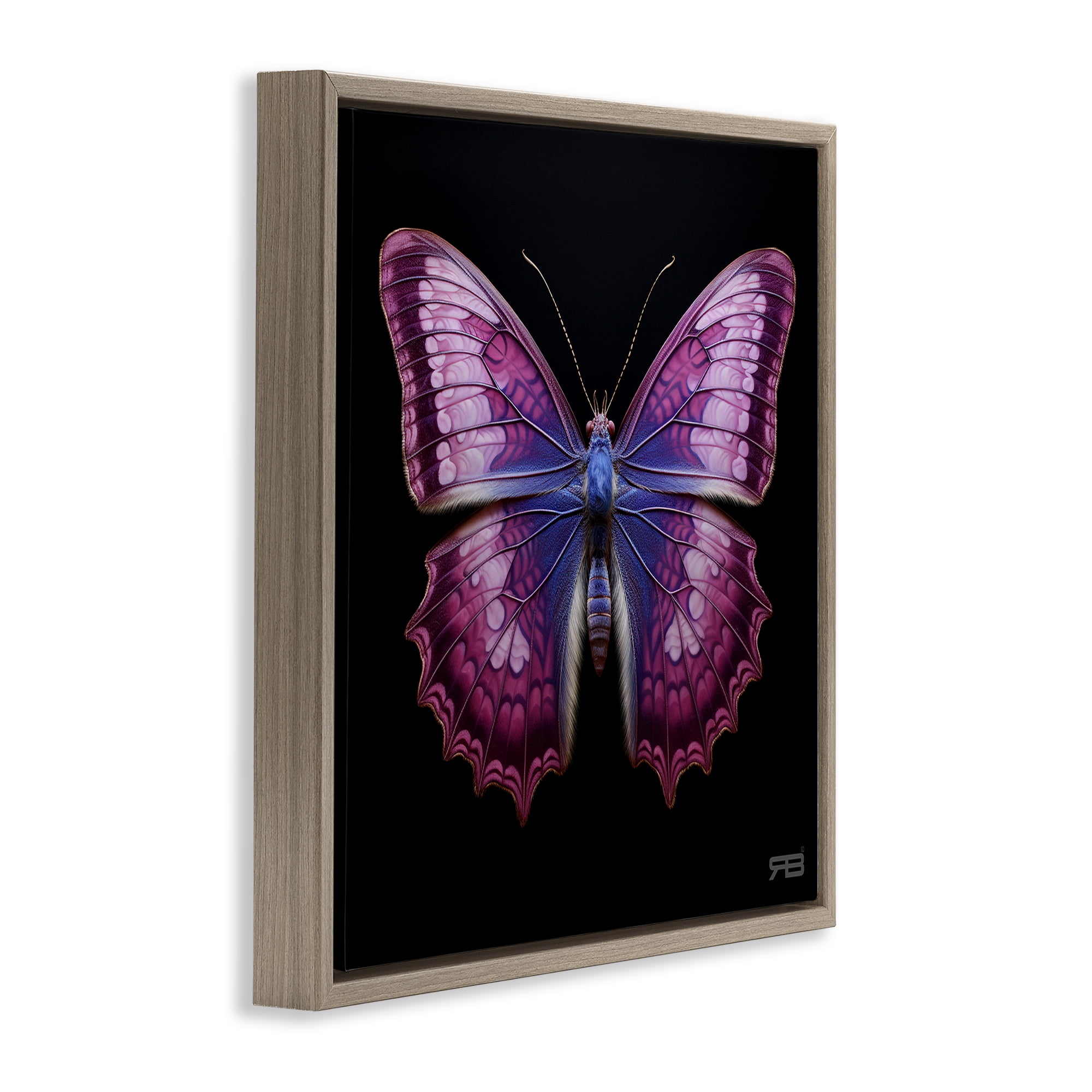 Stupell Industries Vivid Purple Butterfly Animals & Insects Painting Brown Floater Framed Canvas Art Print Wall Art, 18 x 18
