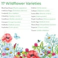 thumbnail image 2 of Deer Resistant Wildflower Seed Mix, Covers MVR1&nbsp;325 Sq Ft, 17 Flower Varieties, Over 44,000 Seeds, Created By Nature, 2 of 3