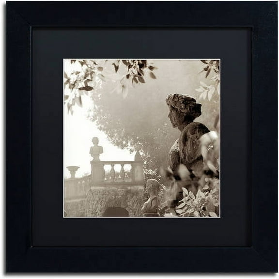 Trademark Fine Art "Tuscany VIII" Canvas Art by Alan Blaustein, Black Matte, Black Frame