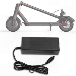 Cámara Scooter Eléctrico 10 X 2.50 Válvula Curva - Bicicletas