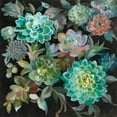 thumbnail image 2 of Nai, Danhui 15x15 Black Ornate Wood Framed with Double Matting Museum Art Print Titled - Floral Succulents, 2 of 4