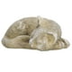 thumbnail image 5 of Lápida conmemorativa para mascotas, lápida conmemorativa para mascotas, lápida resistente a la intemperie para mascotas, piedra conmemorativa para jardín para mascotas, rendimiento impulsado, 5 of 12