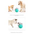 thumbnail image 2 of Jouet pour Animaux de Compagnie Gobelet à Chat/chien Jouet à Chat Qui Fuit, 2 of 3
