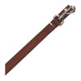 thumbnail image 3 of Casual Canine ZM2392 66 31 6 ft. x 1 in. Basic Nylon Dog Leash Lead, Brown, 3 of 6