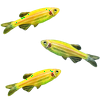GloFish® Danio Add-On 3ct Live Fish Assortments