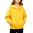 thumbnail image 2 of Toddler Hoodie Pullover Hooded Sweatshirt Long Sleeve Solid Pockets Soft Casual Cute Tops, 2 of 6