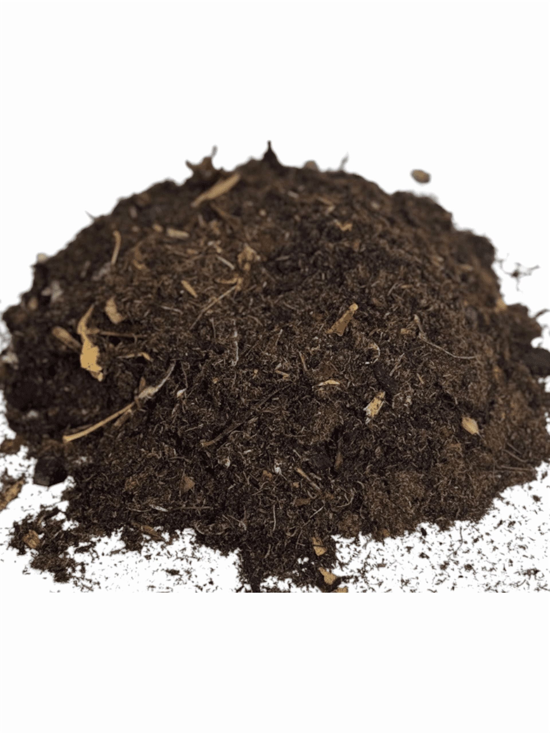 BugzyBugs Isocare Premium Organic Isopod Soil & Bioactive Terrarium Vivarium Substrate Mix (4 Quart)