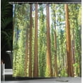thumbnail image 4 of Ambesonne Nature Shower Curtain, Braches in Spring, 69"Wx75"L, Green Brown, 4 of 5