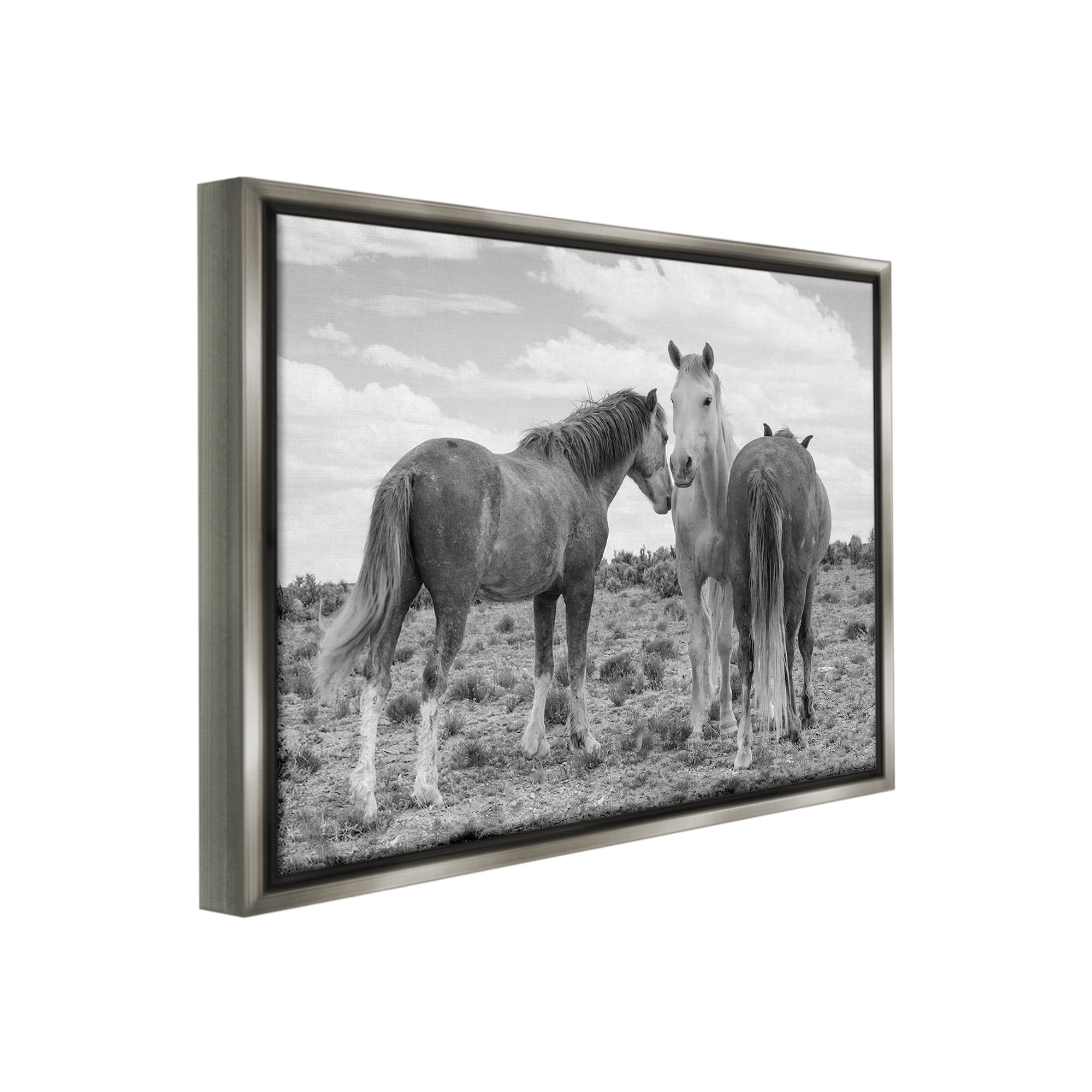 Stupell Industries Horse Trio in Desert Animals & Insects Photography Gray Floater Framed Canvas Art Print Wall Art, 31 x 25