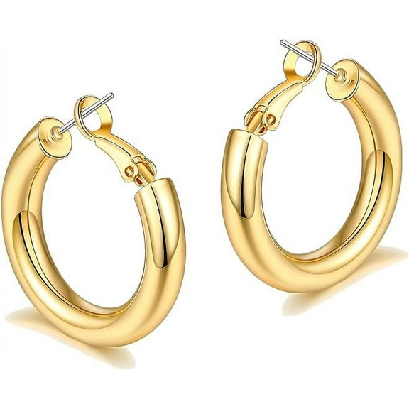 Gold Hoop Earrings for Women with 925 Sterling Silver Post, 14K Gold Plated Small Thick Gold Hoops Earrings for Women