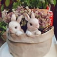 thumbnail image 6 of Easter Bunny Resin Planter Pot, 8 Inch Decorative Flower Pot with Drainage Hole, Cute Garden Decor for Succulents Herbs, Indoor Outdoor Home Decor Spring Gift, 6 of 8