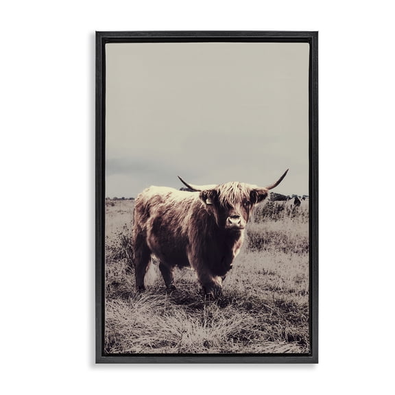 Stupell Industries Horned Cattle in Pasture Black Framed Floater Canvas Wall Art, design by SD Graphics Studio