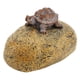 thumbnail image 5 of Rock Key Hider, Acceso Conveniente Caja de Almacenamiento de Llave de Piedra Decorativa Vigilante Múltiple Colocación para Patio, 5 of 7