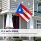 thumbnail image 2 of Bandera Anley Fly Breeze Puerto Rico, 90 x 150 cm, poliéster, 2 of 6