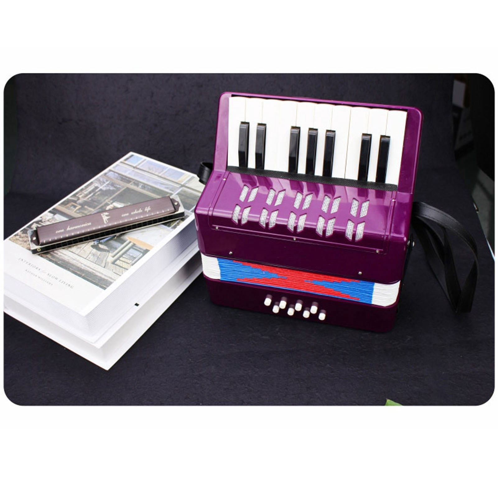 Piano Accordion 9.1 X 9.1 X 3.9 Inches Entry Level Piano Accordion ABS Plastic With Retractable Leather Strap 17 Keys 8 Bass Keys Entry Level Accordion Portable Accordion For Kids Beginners