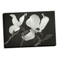 thumbnail image 2 of Gango Home Decor Dogwood Delicacy II B&W by Vitaly Geyman (Ready to Hang); One 36x24in Hand-Stretched Canvas, 2 of 4