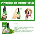 TenYiLy Clearance Cleaning Agents Mint Pet Removal Spray Dog Removal