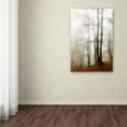 thumbnail image 3 of Trademark Fine Art 'Magic Hour in the Forest' Canvas Art by Philippe Sainte-Laudy, 3 of 3