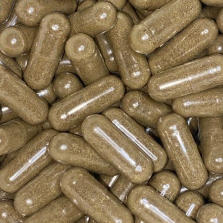 ANTI MICROBIAL BLEND | Echinacea | Gotu Kola | Cinnamon| Peppermint | Oregon Grape Root | Goldenseal | Clove | [G]erms | [B]acteria - B17 Herbs - Bulk Purchase