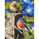 thumbnail image 1 of Taladro Diamante Pintura (DE4148) 5D DIY Completo Pájaro Bordado Mosaico Craft Kit (B379) 50x70cm Hugtrwg Para estrenar, 1 of 1